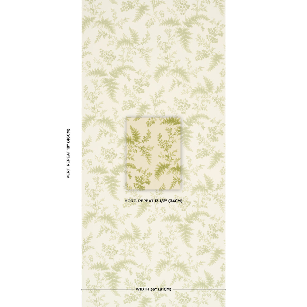 MAIDENHAIR | Leaf