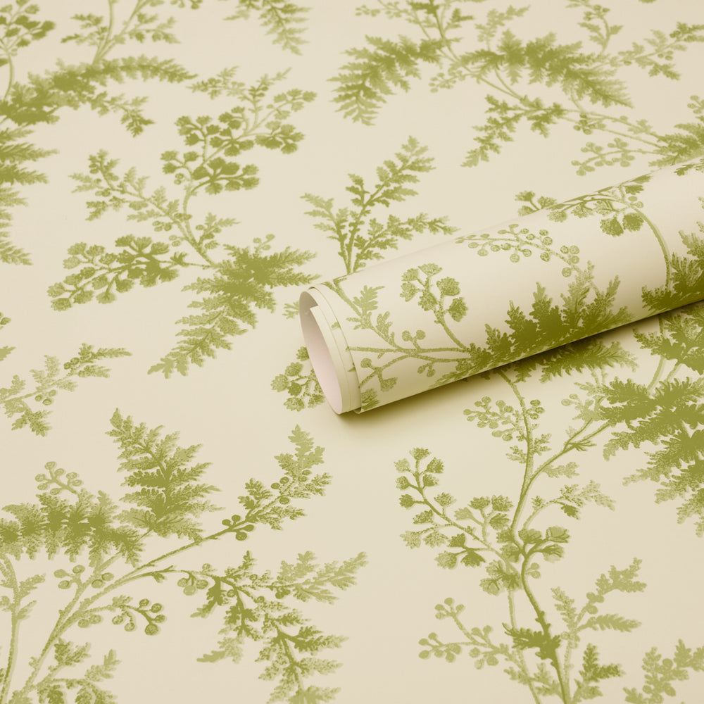 MAIDENHAIR | Leaf