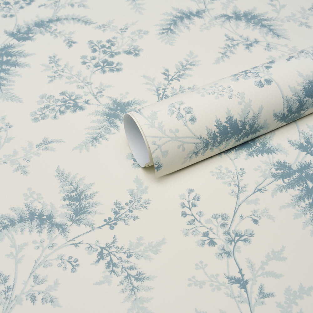MAIDENHAIR | Blue