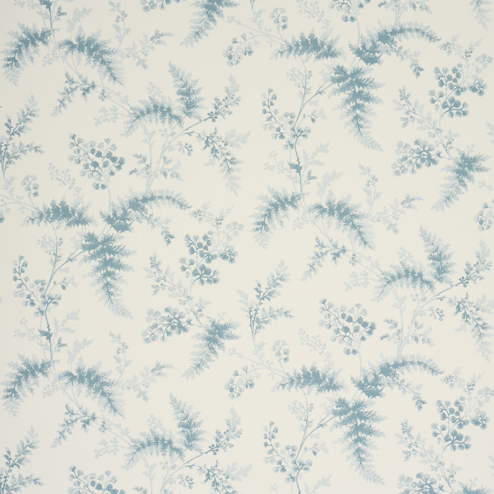 MAIDENHAIR | Blue