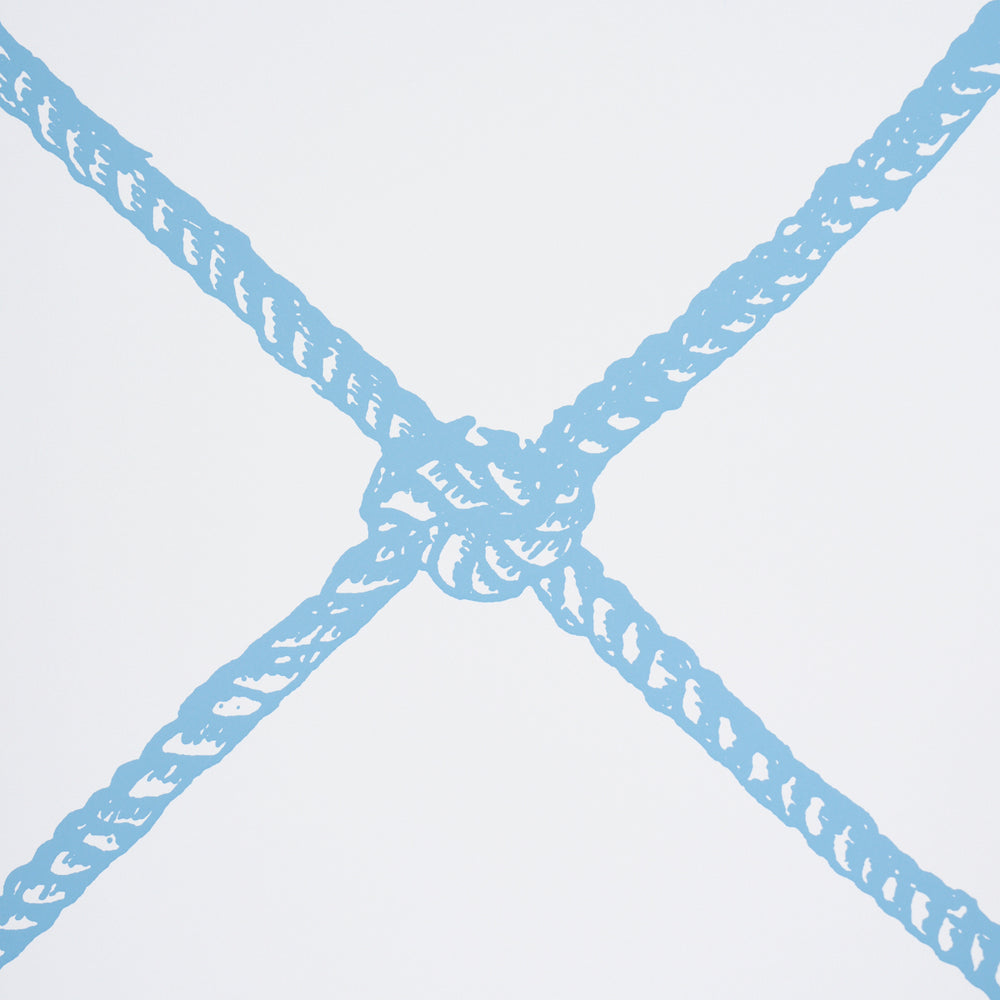 LARGE ROPE | Blue