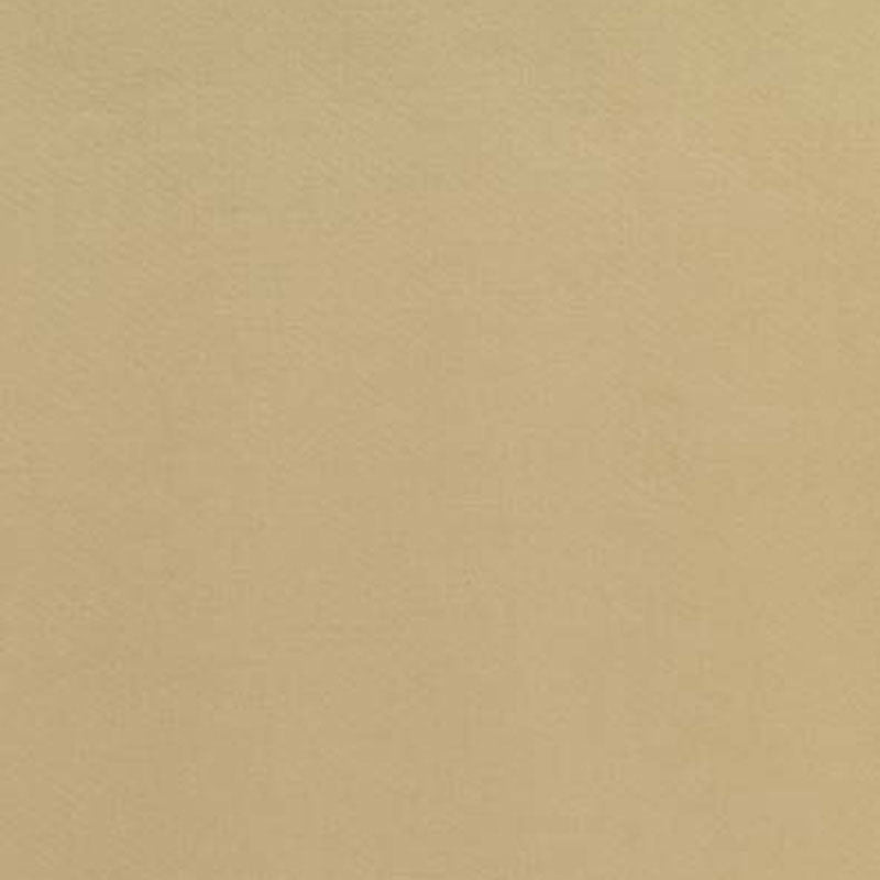 LAURENT COTTON SATIN | Chamois