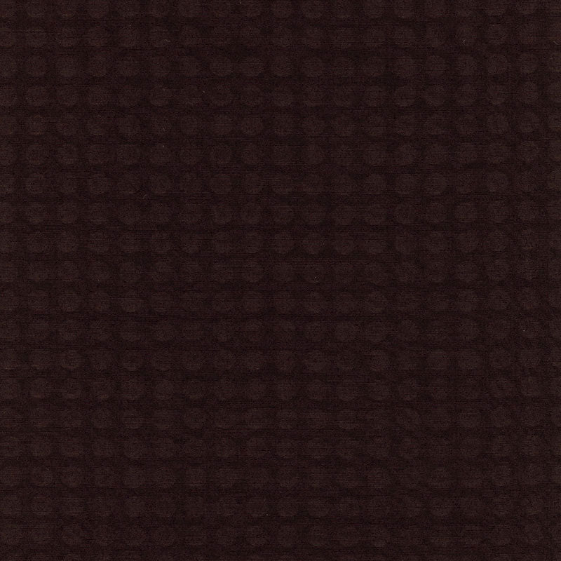 RAINDROPS | Espresso