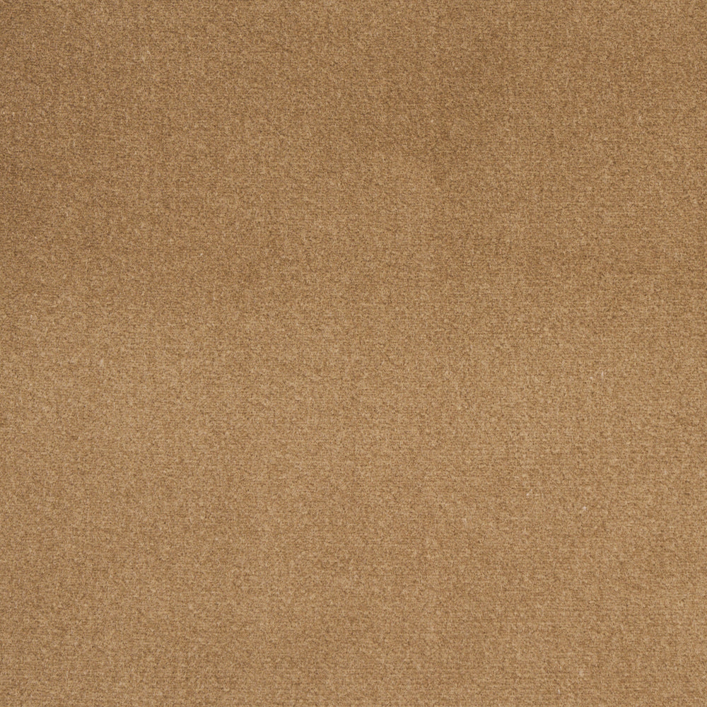 COTTON CLUB VELVET | Fawn