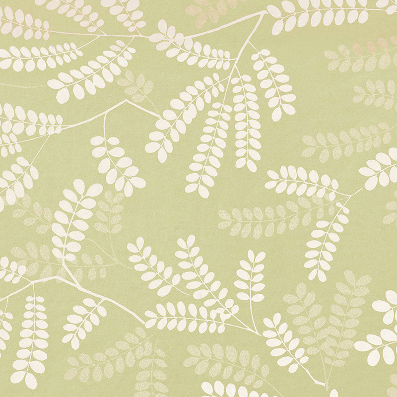 LOCUST LEAVES | FERN