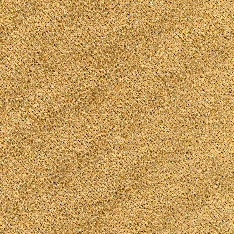 KENYA TEXTURE | CAMEL