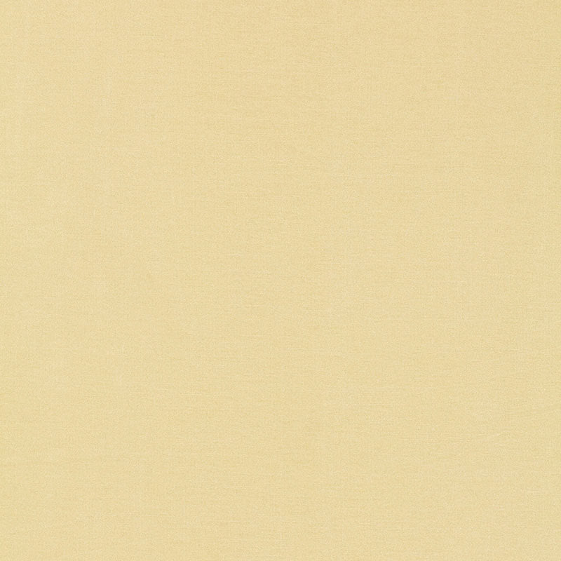 TIEPOLO SHANTUNG WEAVE | IVORY