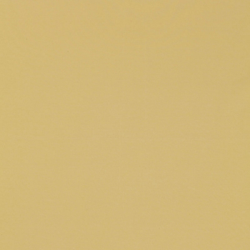 MASACCIO TAFFETA | Jonquil