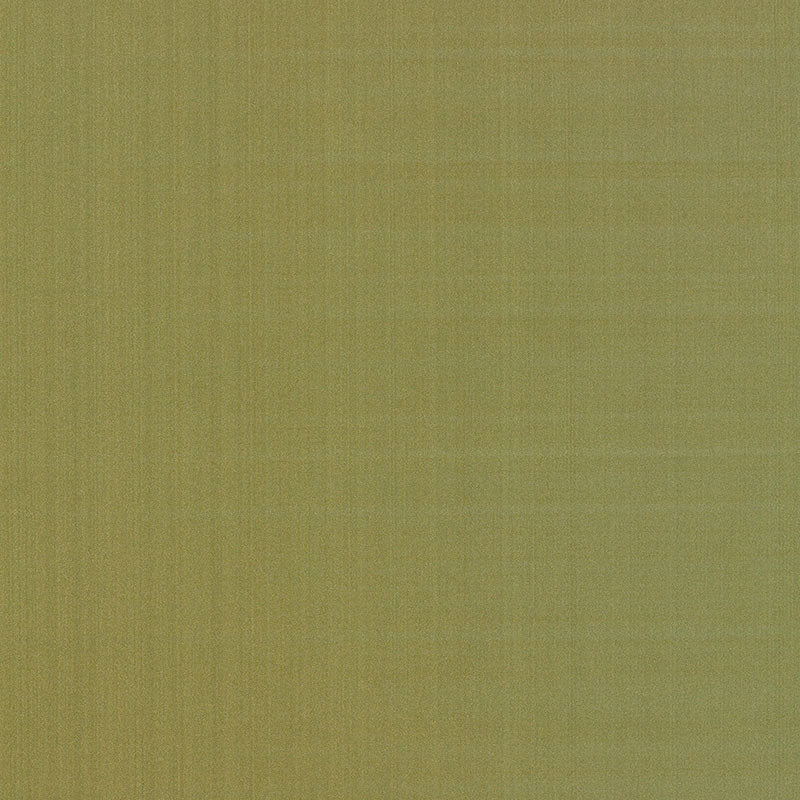 GIORDANO TAFFETA | Lichen