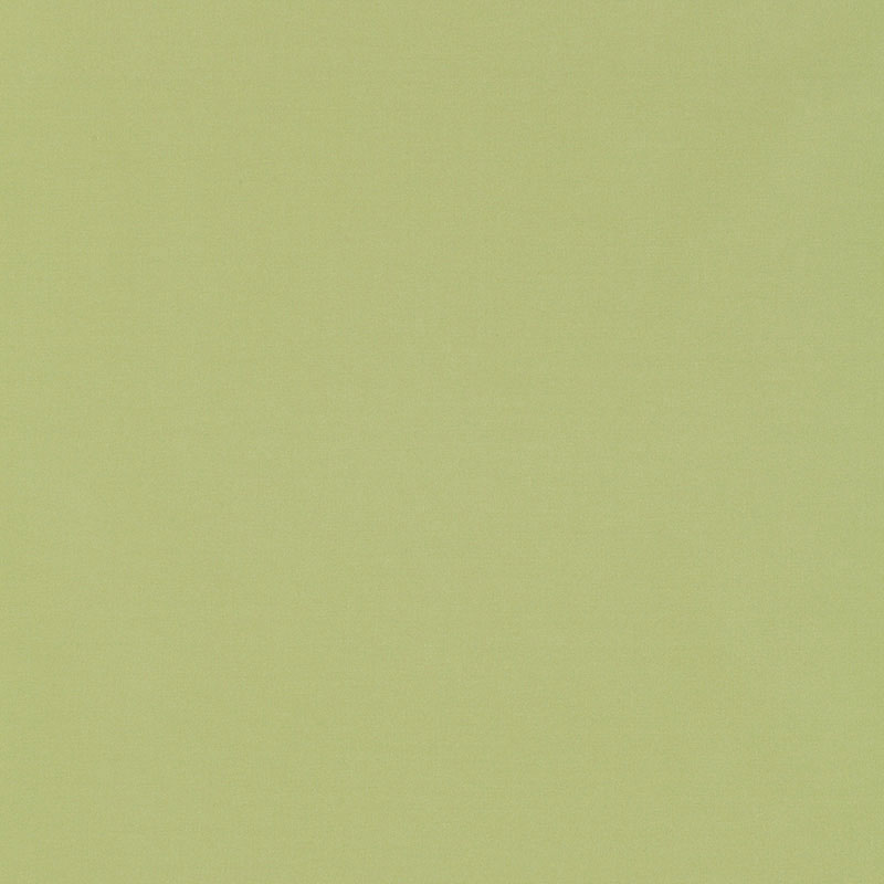 GIORDANO TAFFETA | Mint Julep