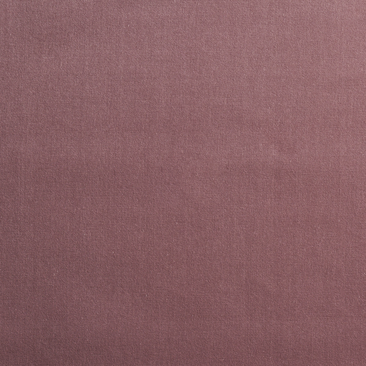 GAINSBOROUGH VELVET | MAUVE