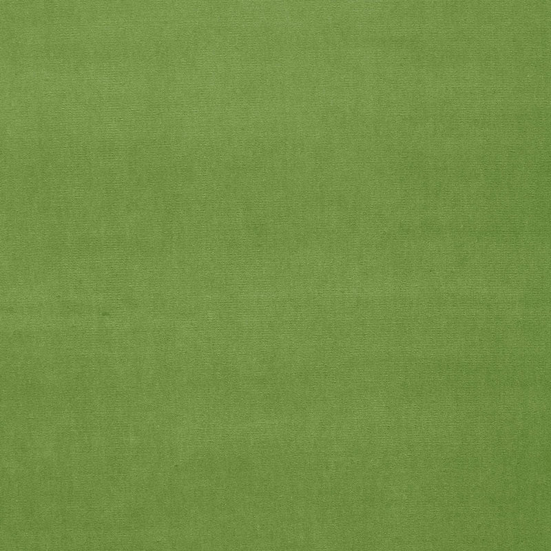 GAINSBOROUGH VELVET | GRASS