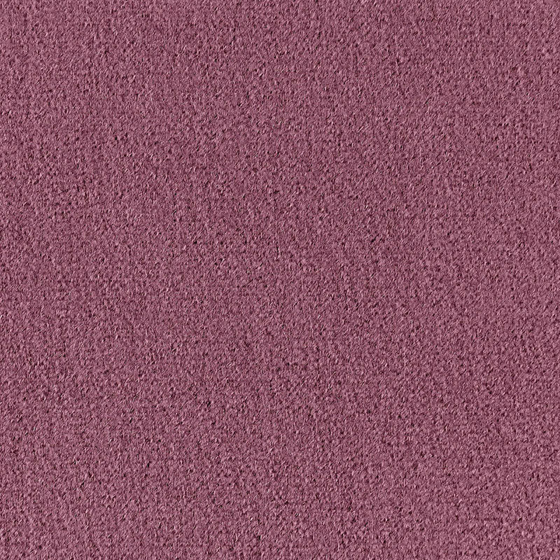 SAN CARLO MOHAIR VELVET | THISTLE