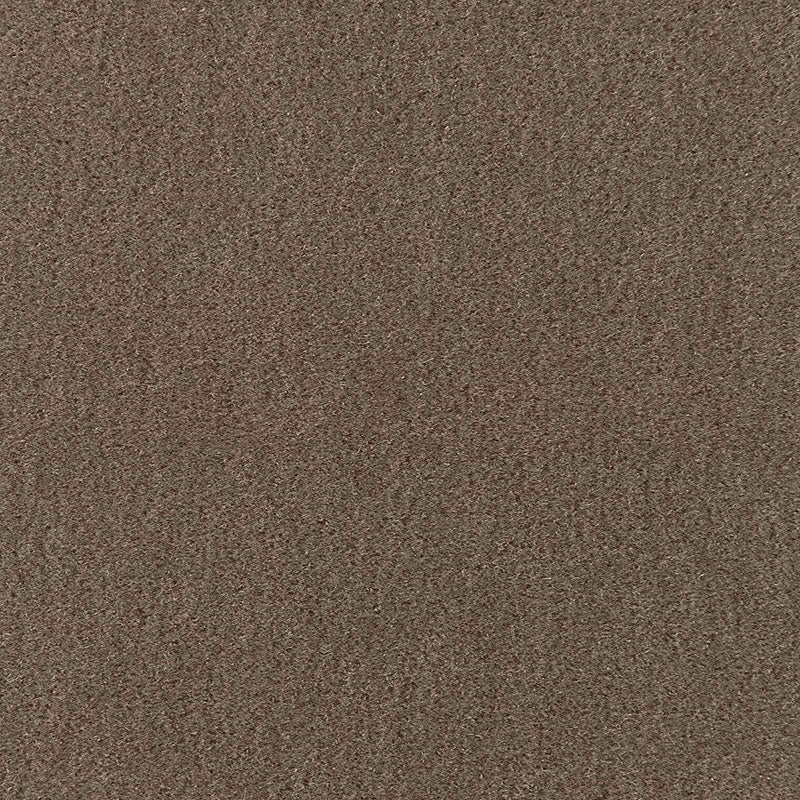 SAN CARLO MOHAIR VELVET | TAUPE