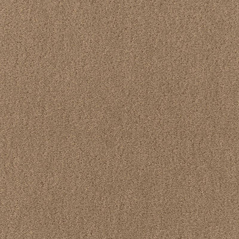 San Carlo Mohair Velvet | Sparrow