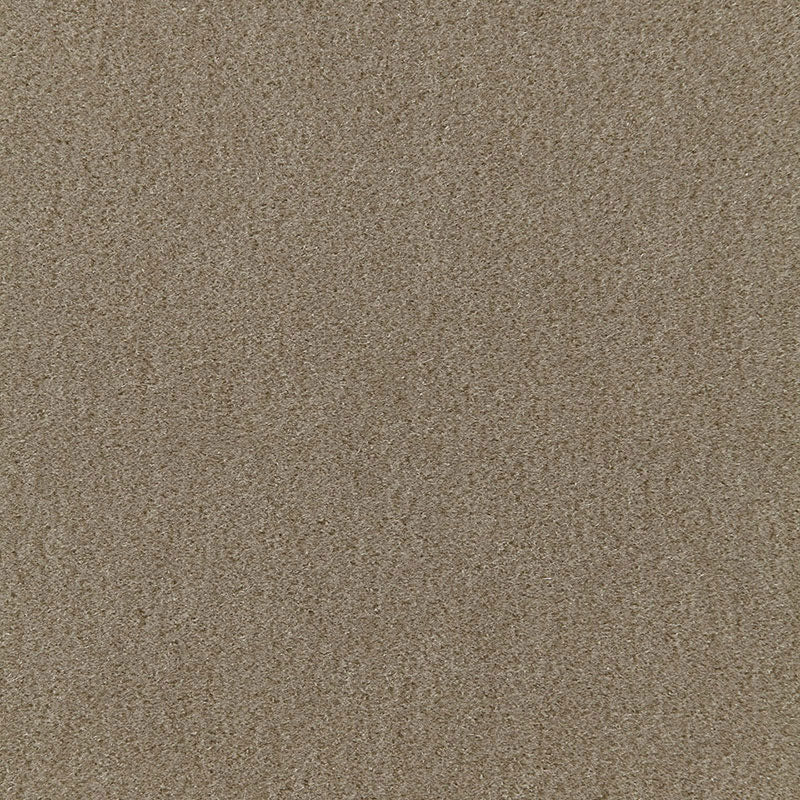 SAN CARLO MOHAIR VELVET | Khaki