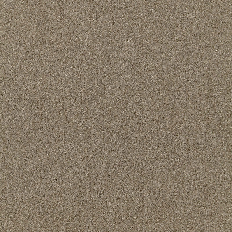 SAN CARLO MOHAIR VELVET | KHAKI