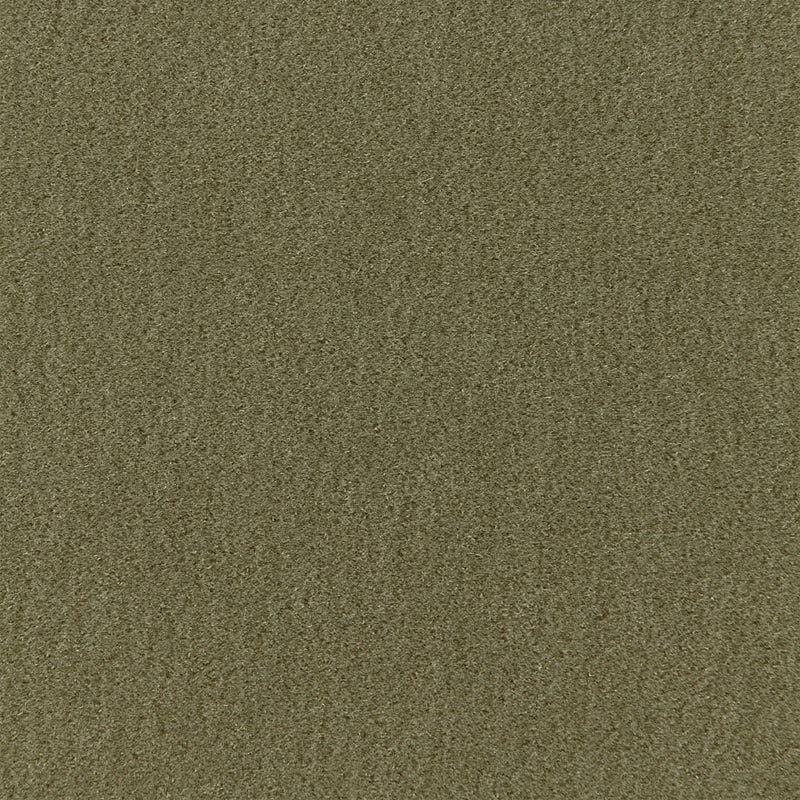 San Carlo Mohair Velvet | Moss