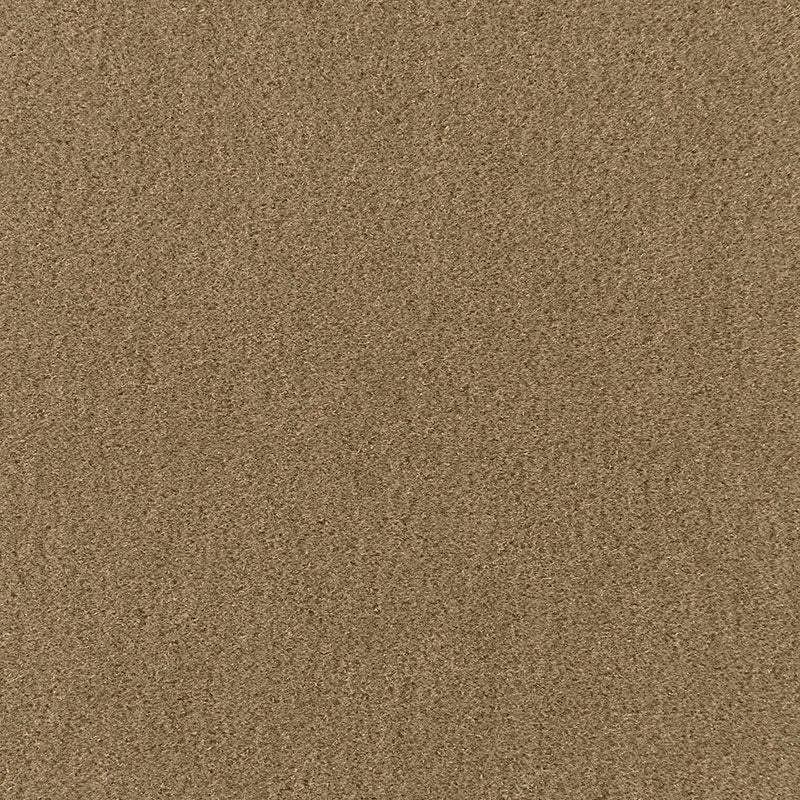 San Carlo Mohair Velvet | Herb