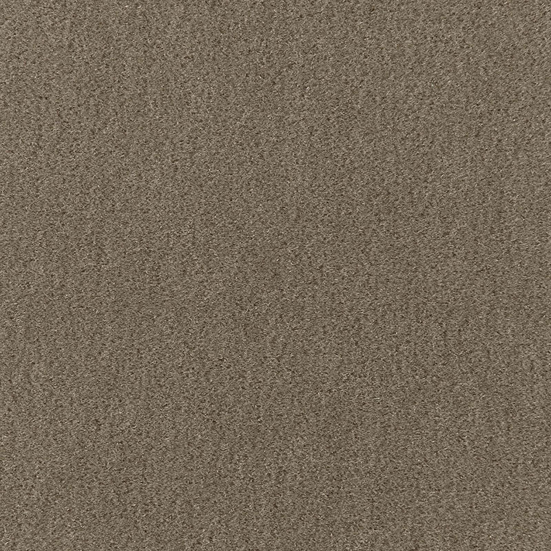 PALERMO MOHAIR VELVET | Thyme