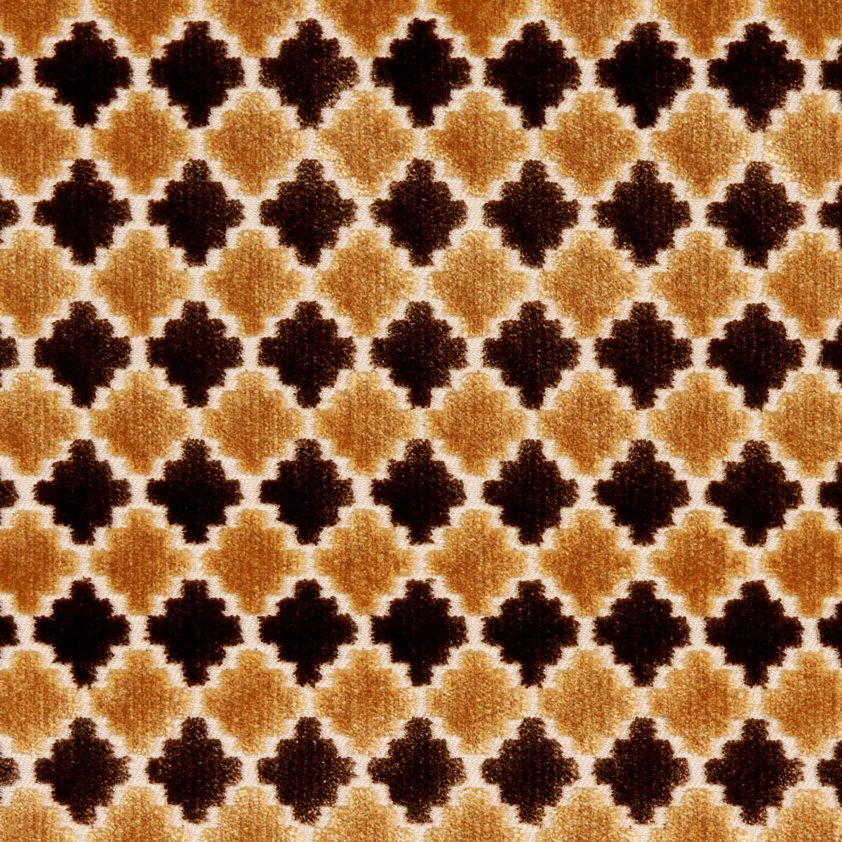 MARRAKESH VELVET | Chocolate Brown