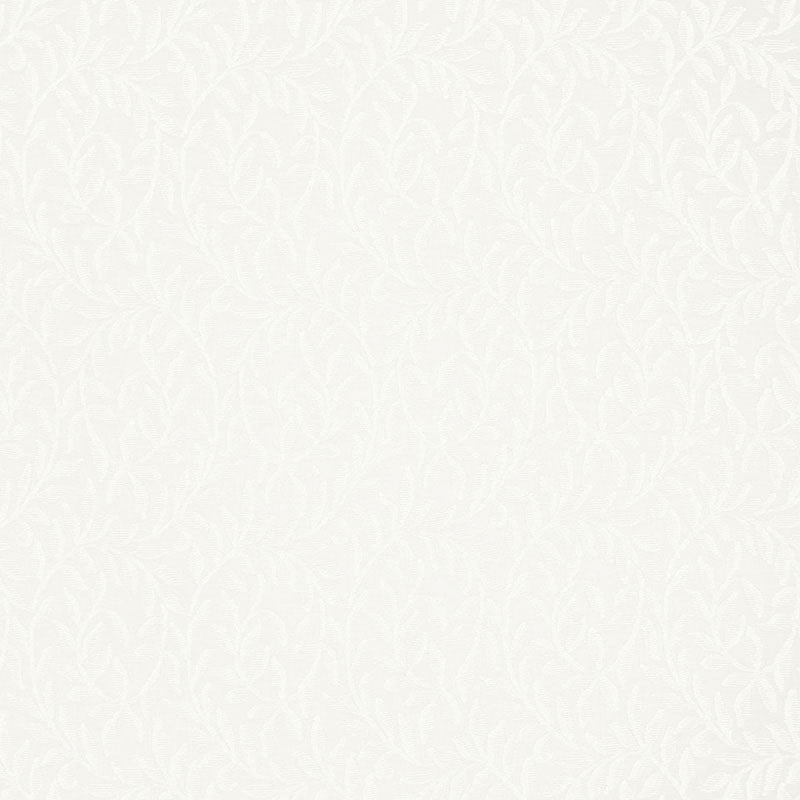 FERNWOOD SHEER | Naturel