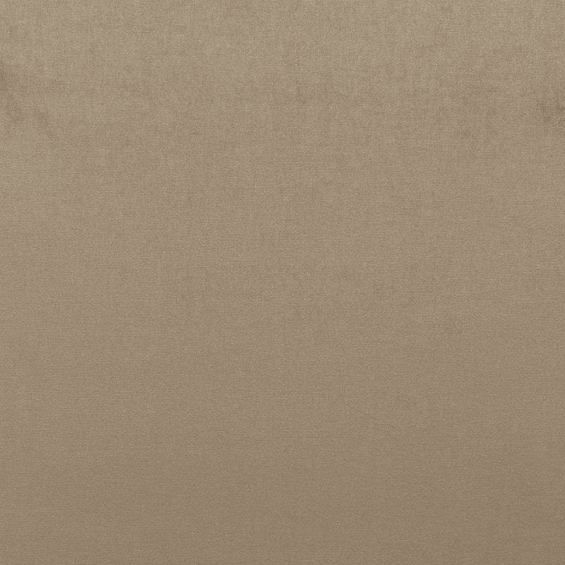 SOPHIA VELVET | Mushroom