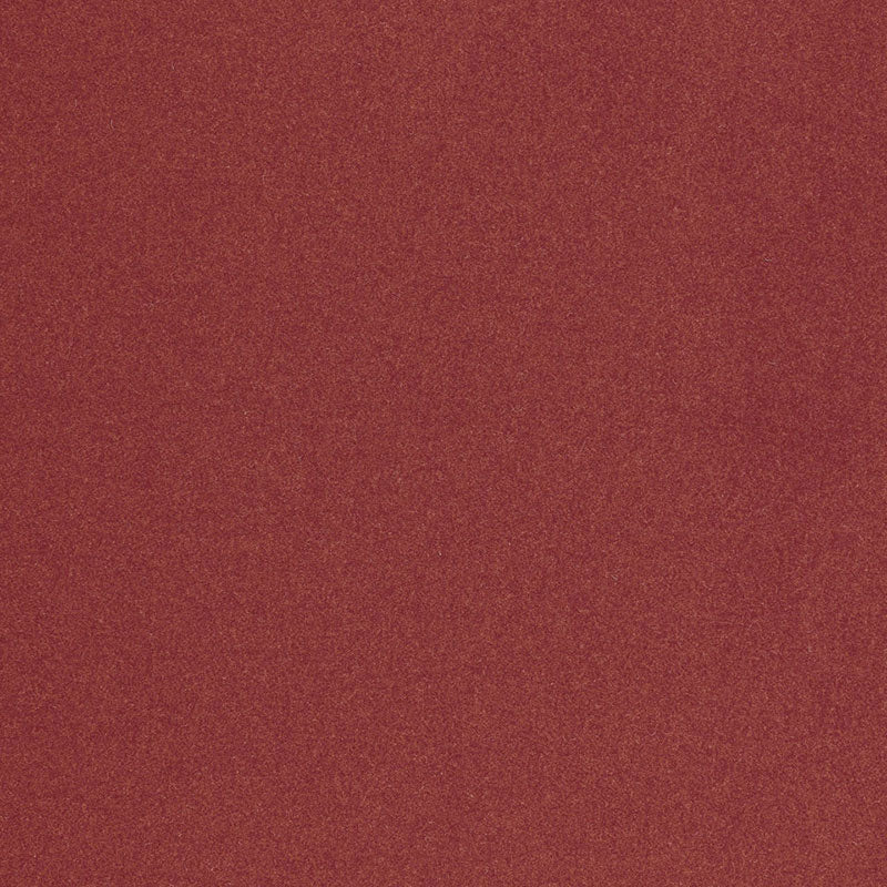 CHESTER WOOL | Shiraz