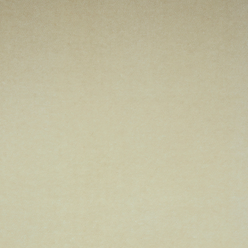 Rocky Performance Velvet | Parchment