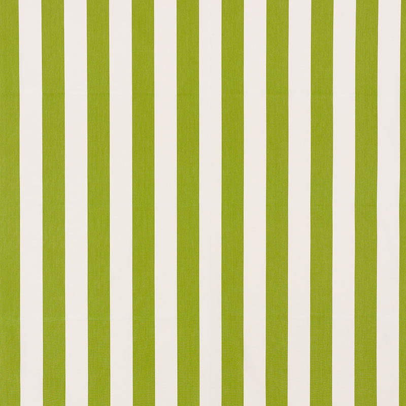 ANDY STRIPE | Green