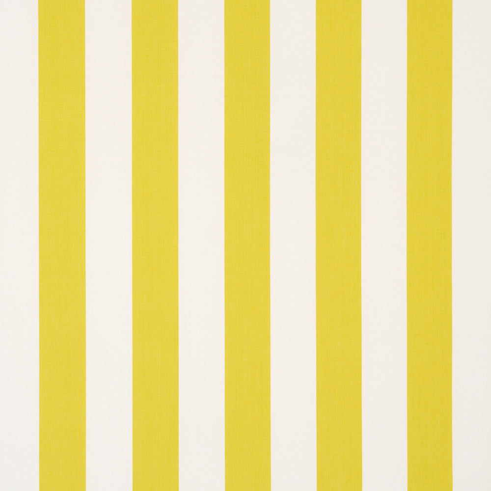 ANDY STRIPE | Yellow