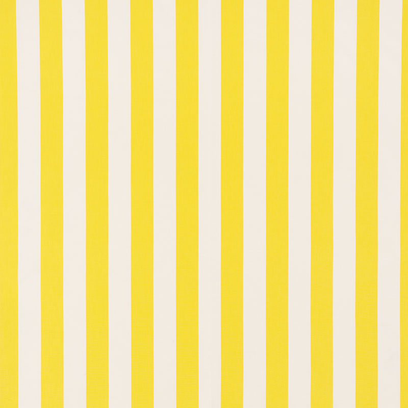 ANDY STRIPE | Yellow