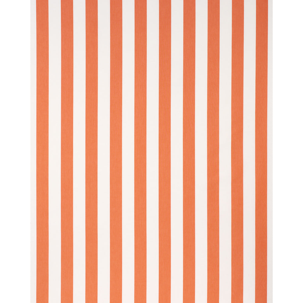 ANDY STRIPE | Orange