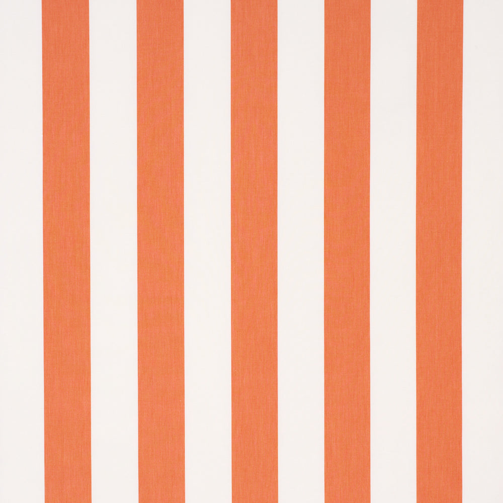 ANDY STRIPE | Orange