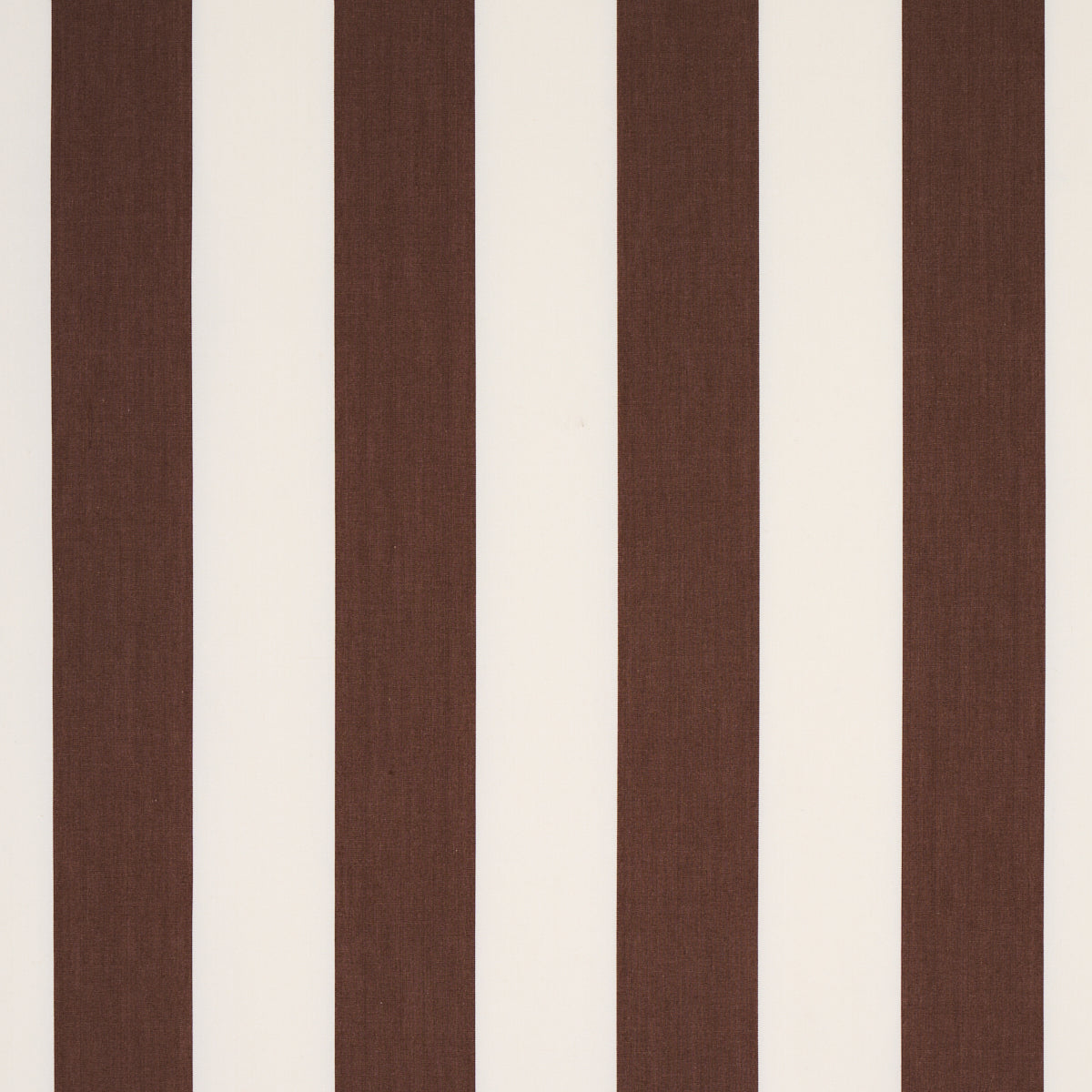 JAMES STRIPE | Brown