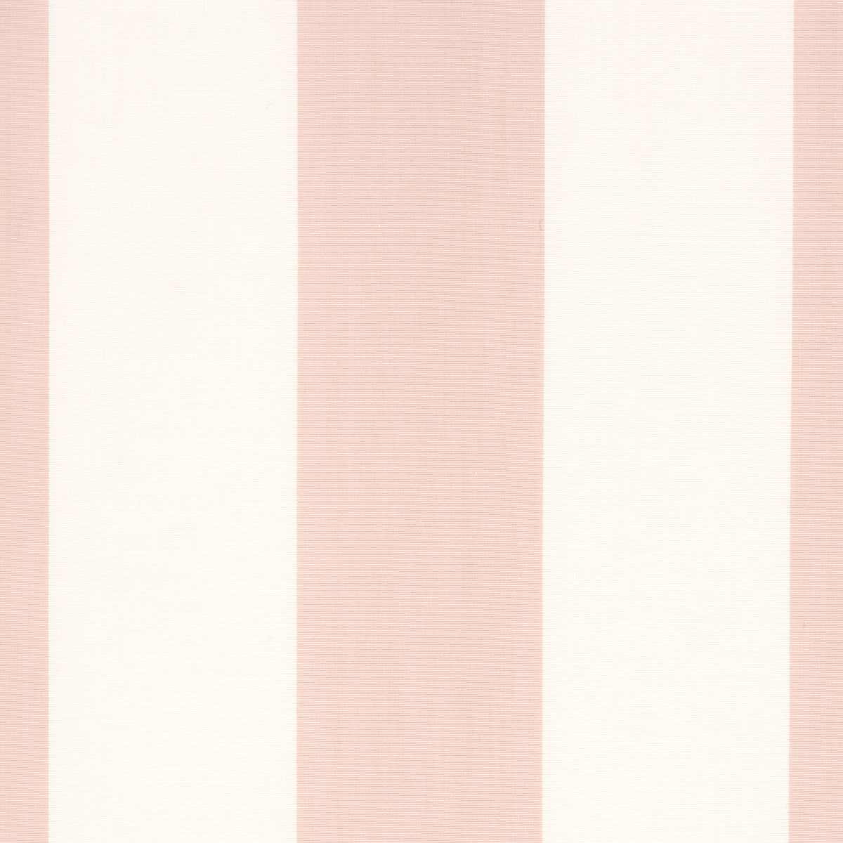 JAMES STRIPE | BLUSH