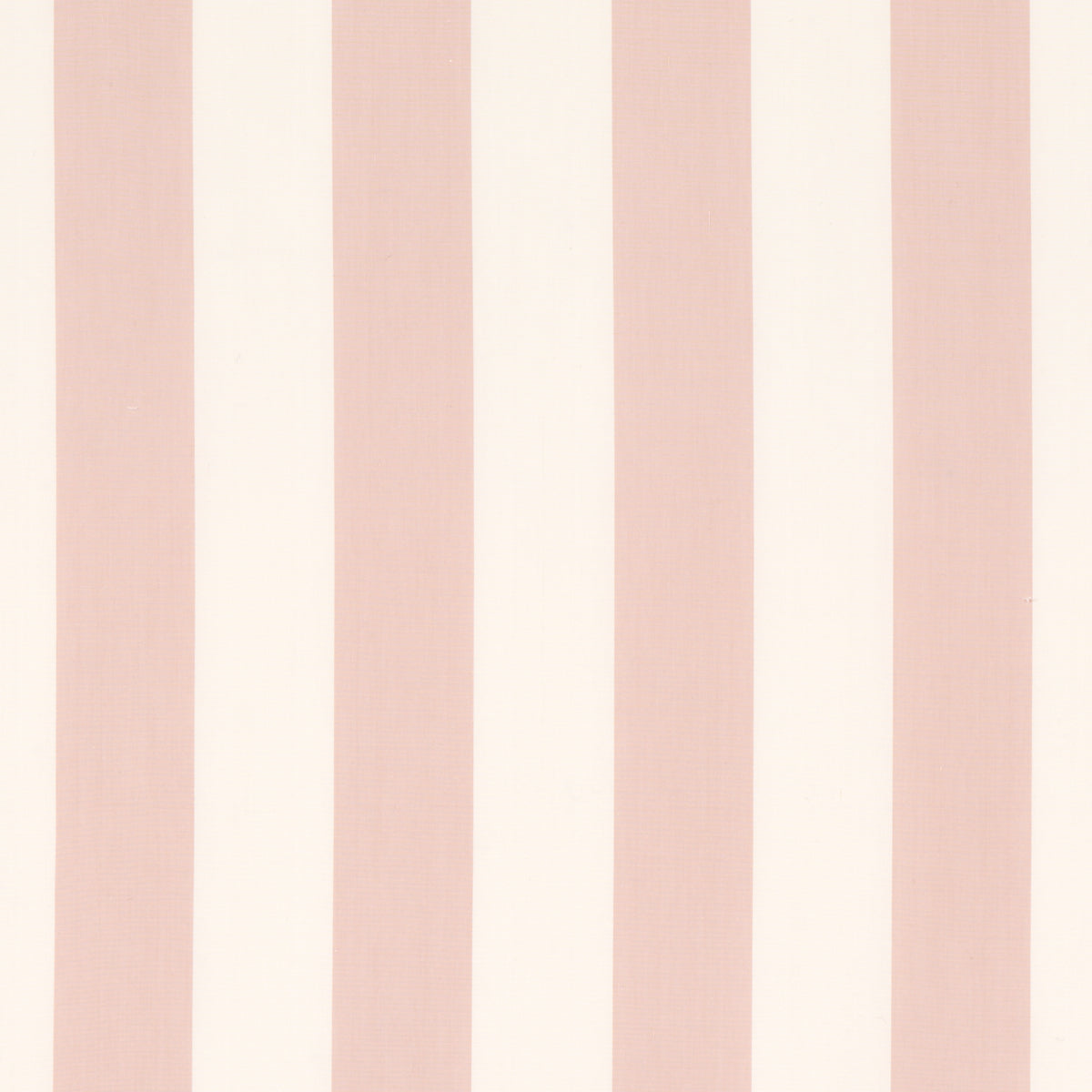 JAMES STRIPE | BLUSH