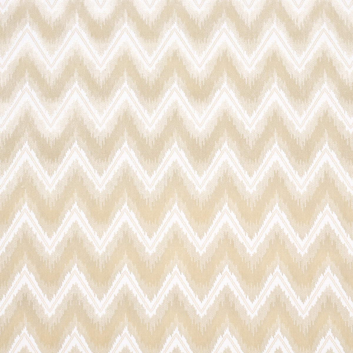 CHEVRON VELVET | Champagne