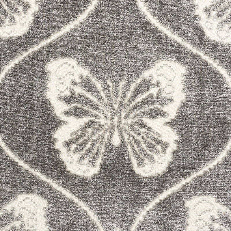 PAPILLON VELVET | Pewter