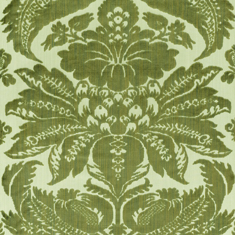 PAVIA SILK VELVET | OLIVINE