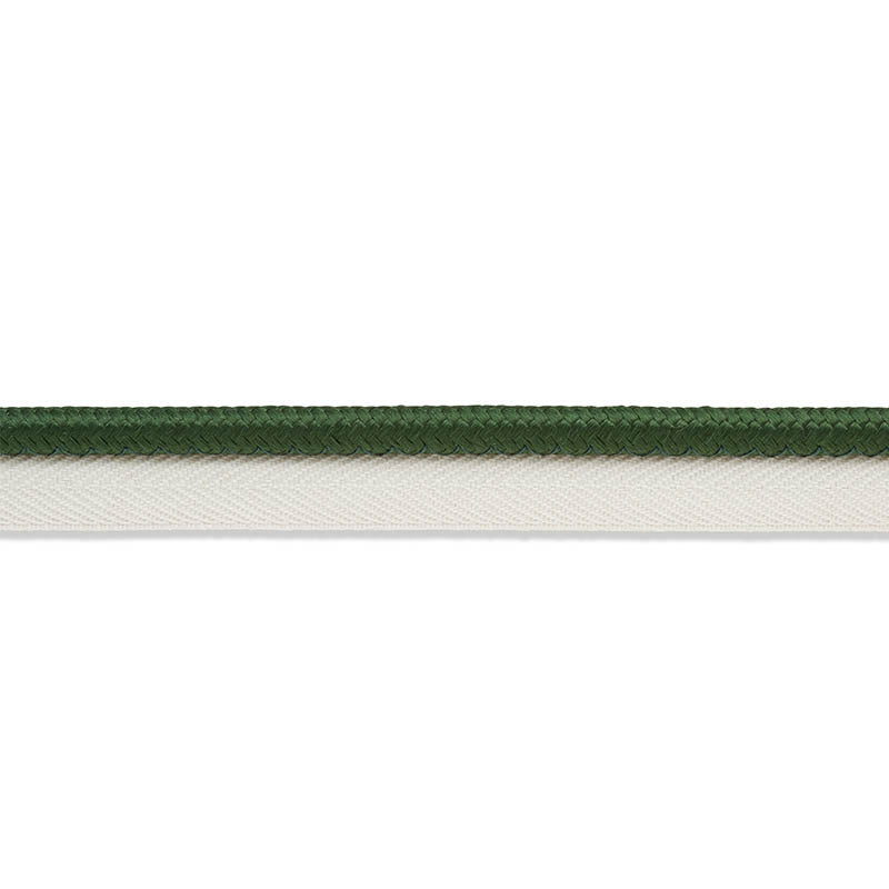 GUSTAVE SILK LIP CORD WIDE | EMERALD