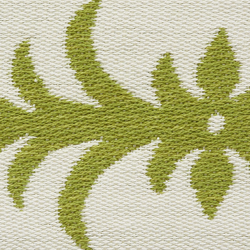 ACANTHUS TAPE | MOSS