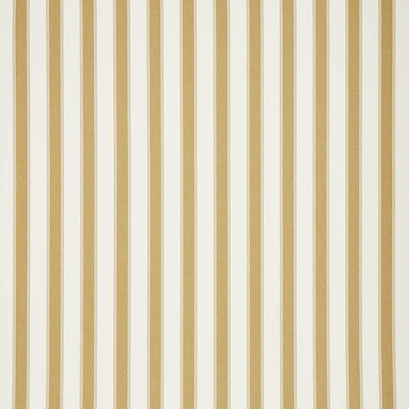 RAFE STRIPE | CHARTREUSE