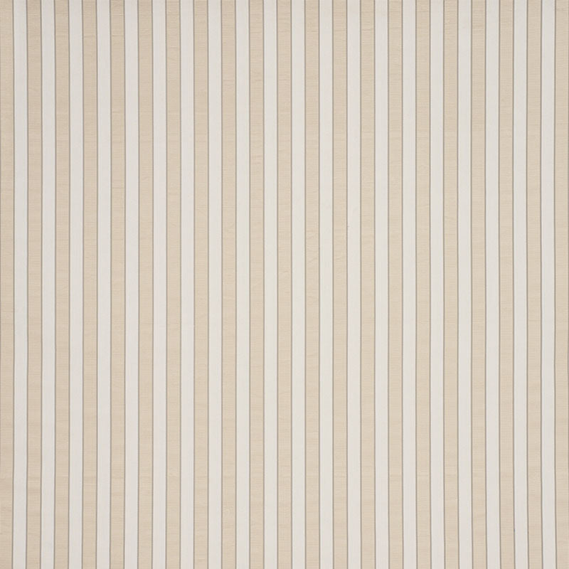 RIBBON STRIPE | Champagne
