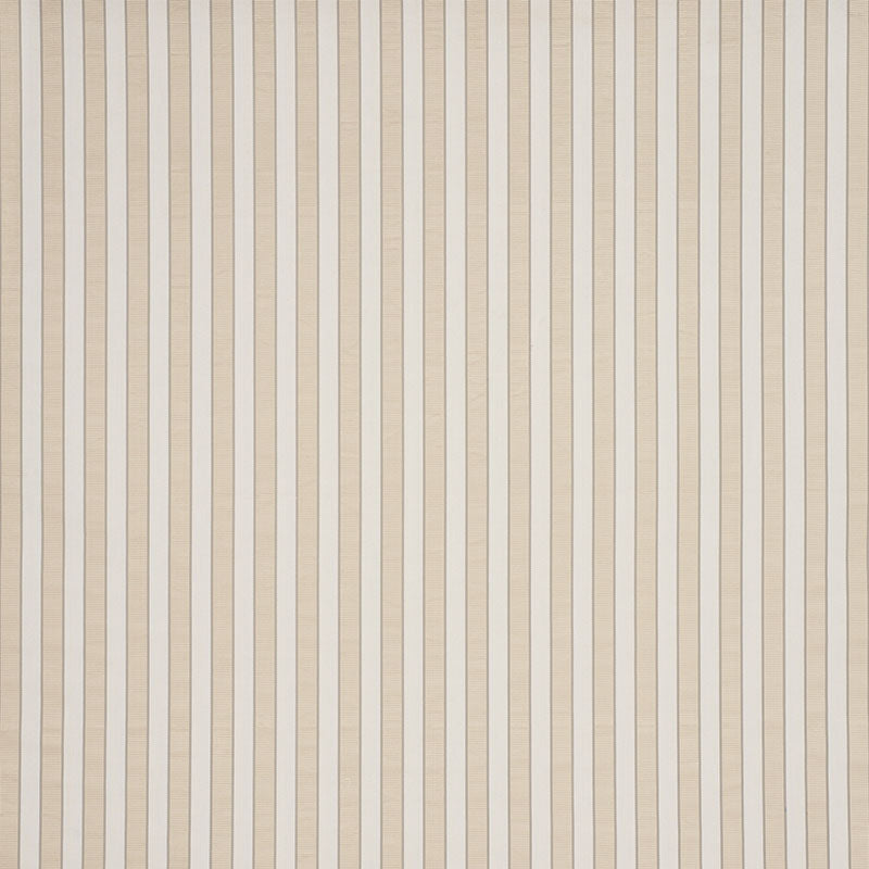 RIBBON STRIPE | Champagne