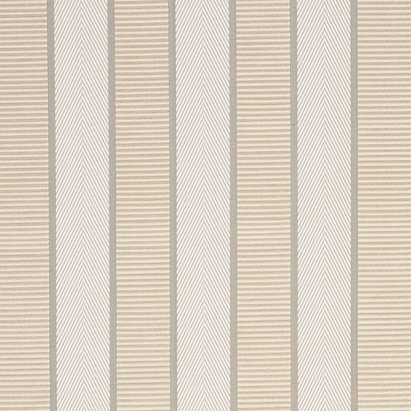 RIBBON STRIPE | Champagne