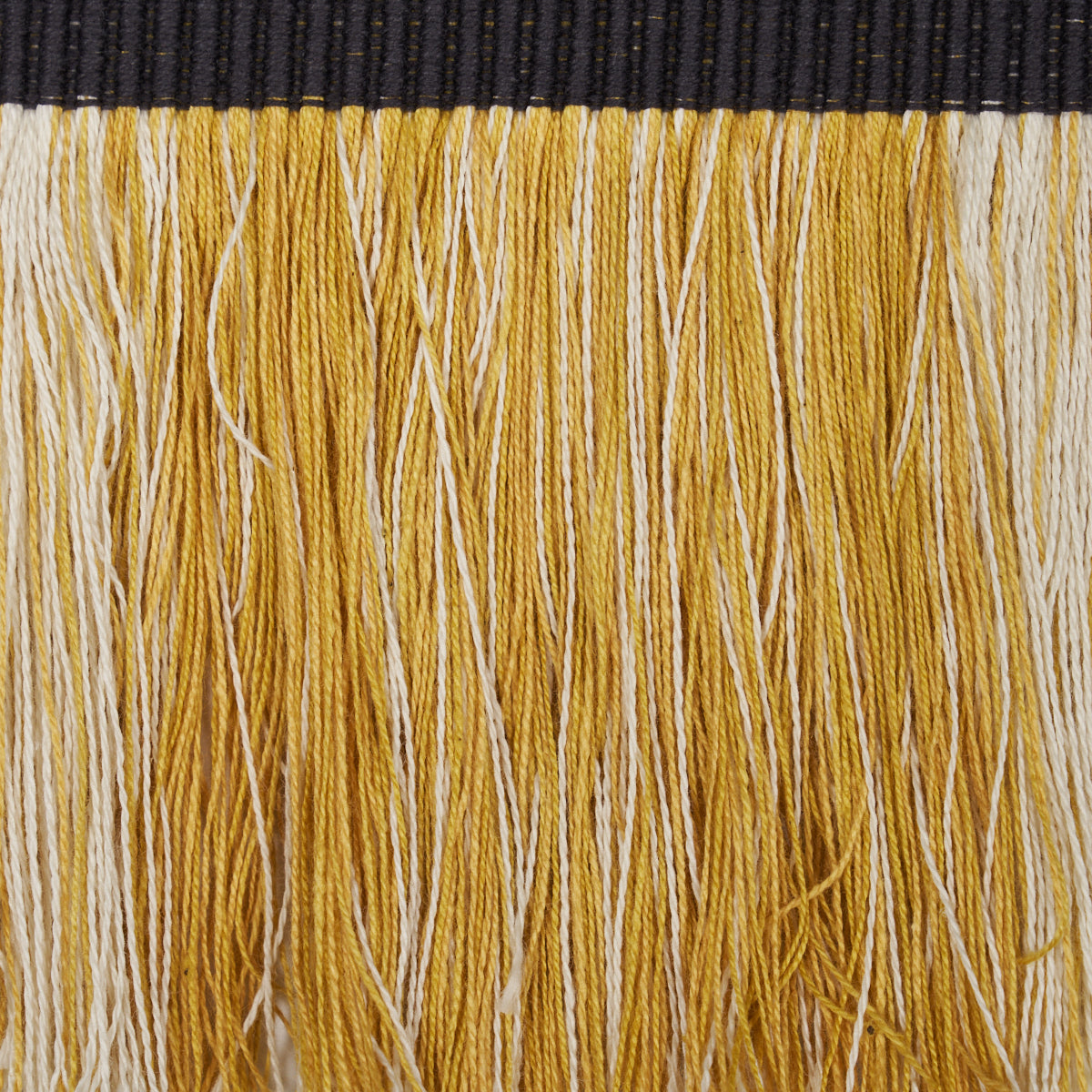 CALCADA FRINGE | Maize