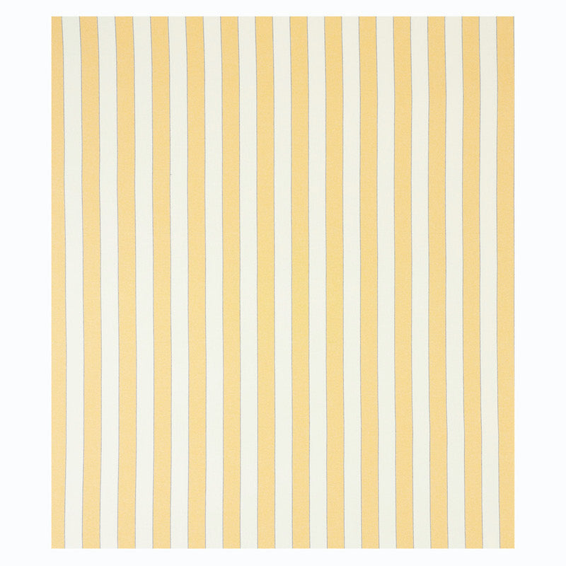 BLUMONT STRIPE INDOOR/OUTDOOR | Yellow