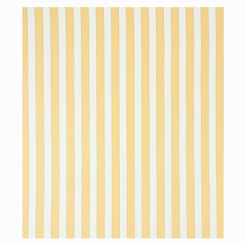 BLUMONT STRIPE INDOOR/OUTDOOR | YELLOW