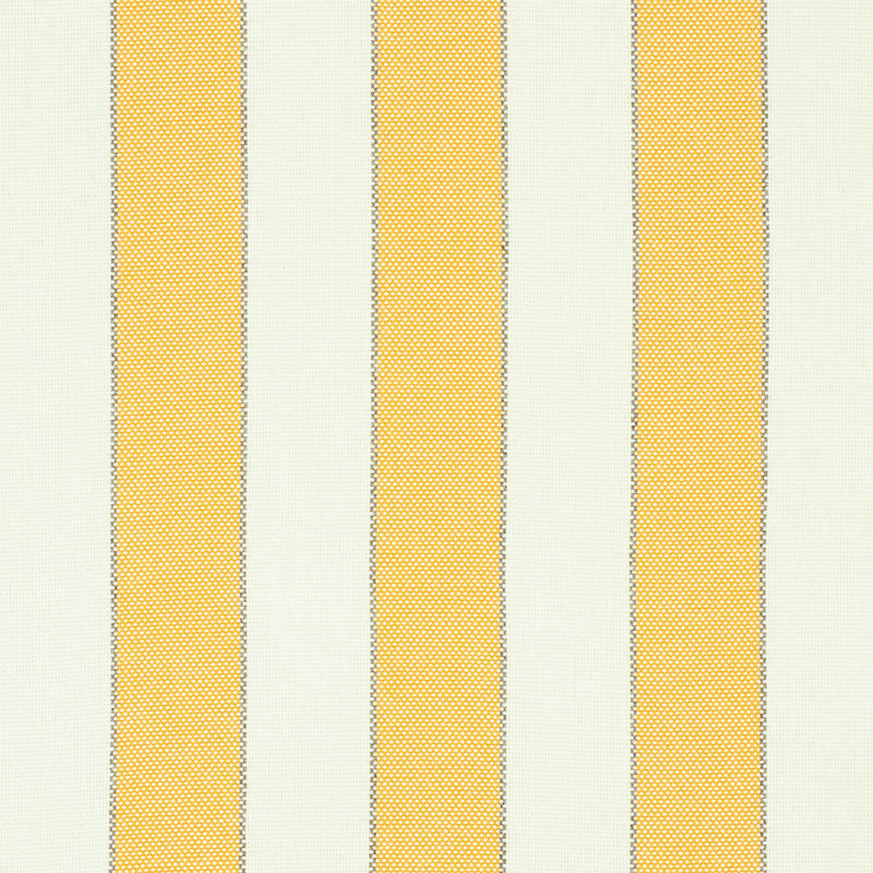 BLUMONT STRIPE INDOOR/OUTDOOR | YELLOW